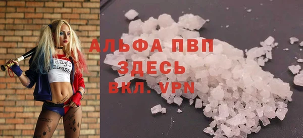 мдпв Новозыбков