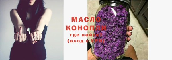 гидра Горнозаводск