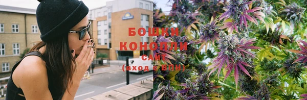 дурь Новодвинск