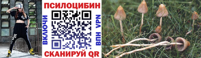 как найти закладки  Заинск  Псилоцибиновые грибы ЛСД 